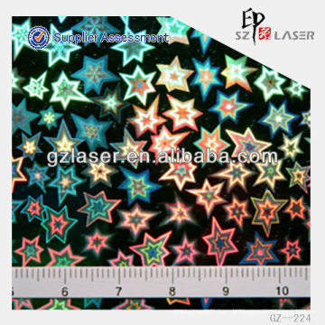 YXCP - 224 holographisches Masterblatt mit Punktmatrixtechnologie